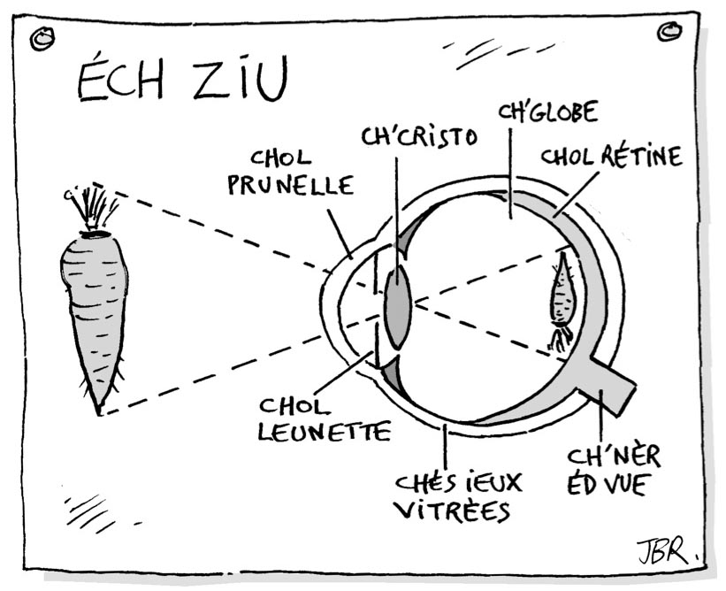 Vue en coupe d’un « ZIU » par Jean-Bernard Roussel